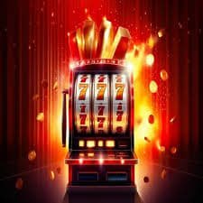 Privacy-focused 777bd Live Casino member access and safety display